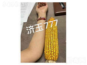 ����777���-�͹ȷ�