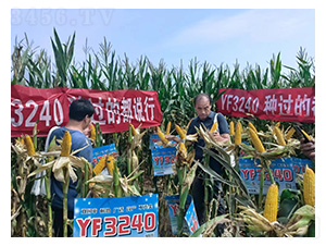 YF3240-�͹ȷ�