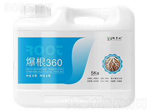 ����360-�ö���
