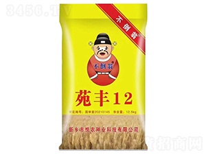 ����12-С������-������