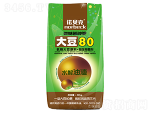 ��80΢�������-ŵ����-��ʢԪ