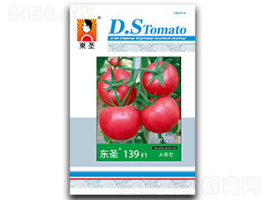 ��ʥ139-��������-��ʥ