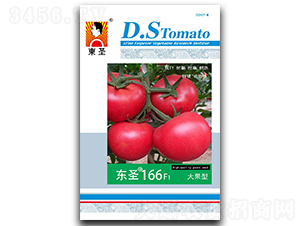 ��ʥ166-��������-��ʥ
