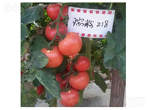 ���218-��������-��������
