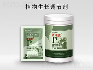 ֲ���������ڼ�-��ŵ��-p-��ŵ��