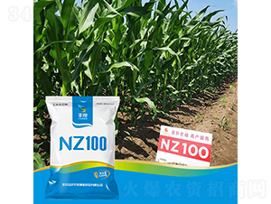NZ100-��������-��ȸ߿�