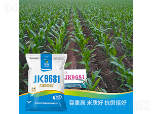 JK9681-��������-��ȸ߿�