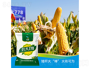 ũ��778-��������-��ȸ߿�