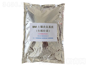 BM�����������ʣ�����׳�磩-�Ű�����