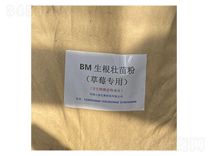 BM����׳�������ݮר�ã�-�Ű�����