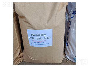 BM����ʹ��ܾ�������׳��ٳ���-�Ű�����