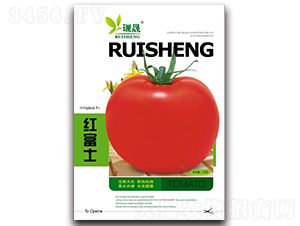 �츻ʿF1-��������-����