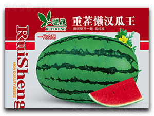 �ز���������-��������-����