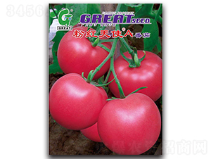 �ۺ���ʹA-��������-���