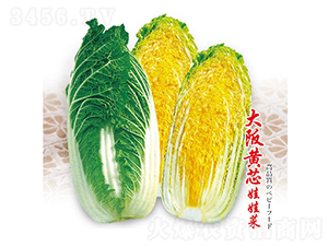 �����о���޲�-���޲�����-��Ʒũҵ