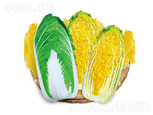 ��ʿ�������޲�-���޲�����-��Ʒũҵ