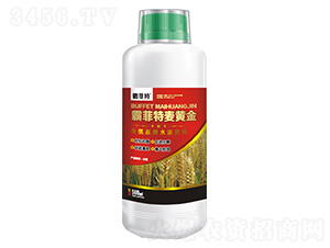 ��������ˮ�ܷ���500ml-�Է�����ƽ�-�Է���-��֮Դ