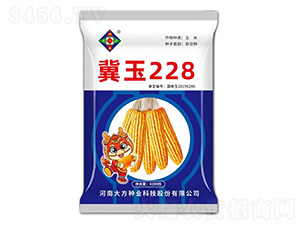��������-����228-�д���ҵ