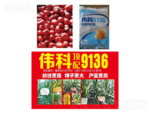 ��������--ΰ��9136-�д���ҵ