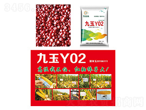 ��������-����Y02-�д���ҵ