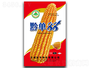 ǭ��88-��������-�����ӷ���ҵ