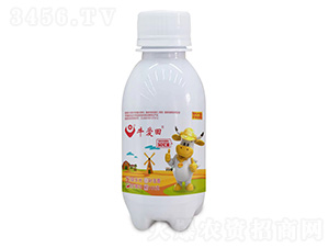 ţ����50�ھ�-��������