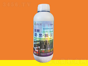 ������ڴֳ�-ʥ�����-������