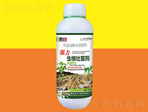 ǿ������׳���500g-����-������