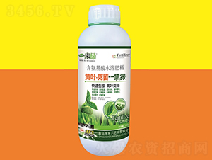 ��Ҷ����һ����500g-һ����-������