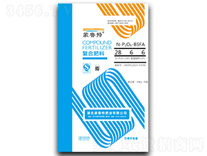 ���Ϸ���28-6-6��BSFA��-��³��-���׵�
