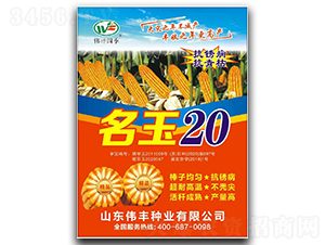 ����20-��������-ΰ����ҵ