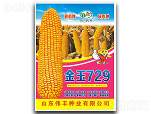 ����729-��������-ΰ����ҵ