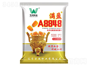 ��������-��ӯA8848-�����ҵ