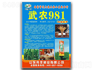 ��ũ981-С������-ΰ����ҵ