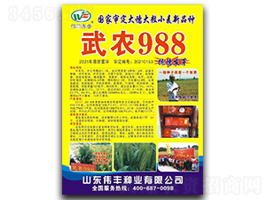 ��ũ988-С������-ΰ����ҵ