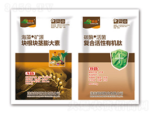 ����龥�����+���ϻ����л���-����-�����ҵ