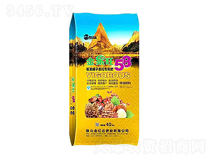 ������ӹ���ר�ò������20-8-10-�����58-��ÿ��-���ڴ��ҵ