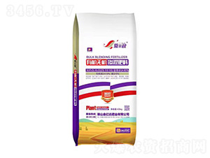 �л��޻������25-10-10-������-���ڴ��ҵ