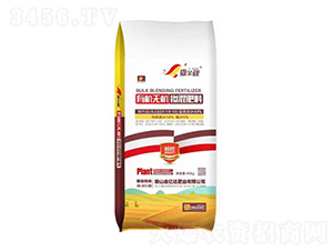 �л��޻��������24-10-10-������-���ڴ��ҵ