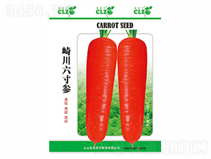 �鴨�����-��ʢ��