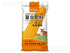 ��Ч���͸��Ϸ���28-6-6-ţ�ò�-��˹��