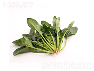 �ǻ�126-��������-��ũũҵ