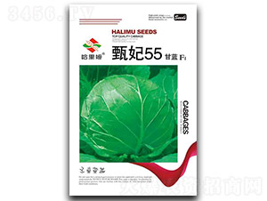 ����55-��������-����ķ