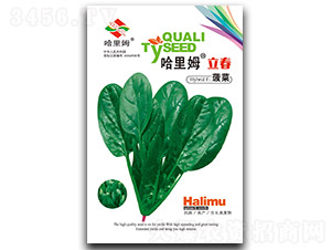 ����ķ����-��������-����ķ