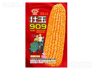 ��������-׳��909-����ũҵ