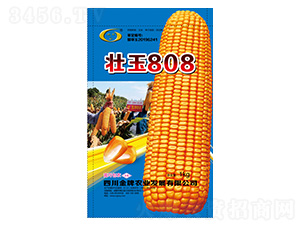 ��������-׳��808-����ũҵ
