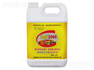 ����2000-ʢ������