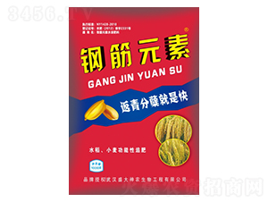 �ֽ�Ԫ��-ʢ������
