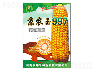 ��ũ��997��������-ũ����