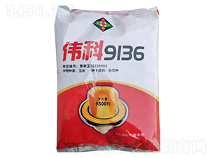 ΰ��9136��������-�д���ҵ
